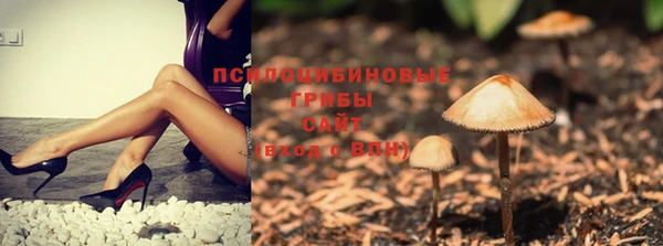 дживик Вязьма