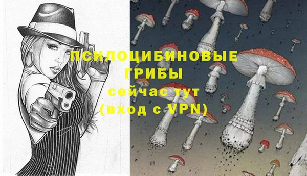 дживик Вязьма