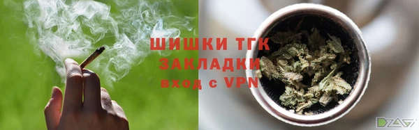 дживик Вязьма