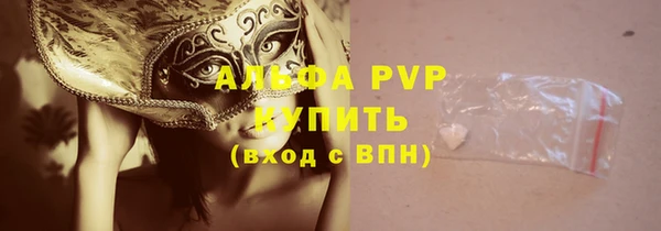 дживик Вязьма
