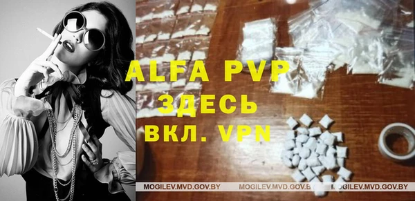 дживик Вязьма