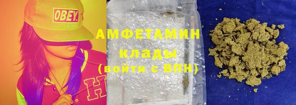 дживик Вязьма
