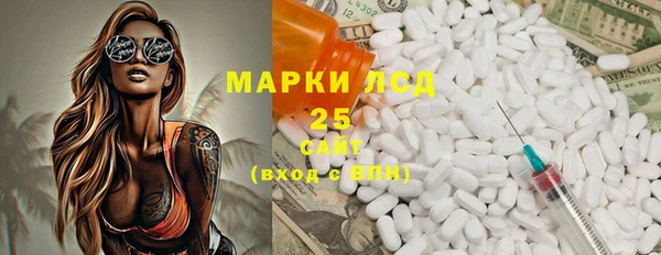 шишки Горняк