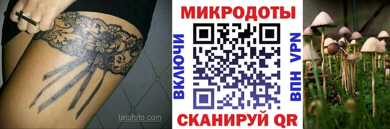 Галлюциногенные грибы Psilocybe Купить закладки Пучеж